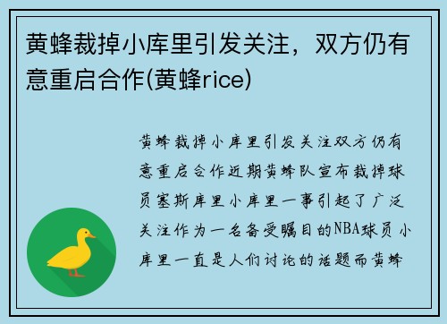 黄蜂裁掉小库里引发关注，双方仍有意重启合作(黄蜂rice)